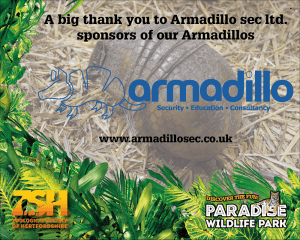 Armadillo Sponsors ZSH Armadillos